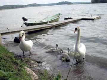 Фото номера Дом для отпуска Дома для отпуска Holiday Home Rannantupa г. Hersala 34